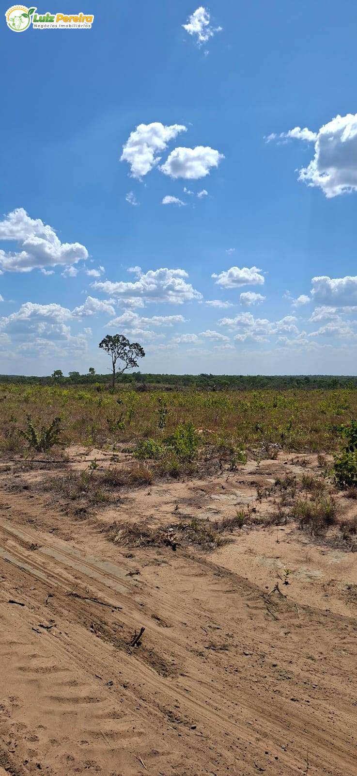 Terreno, 1108 m² - Foto 3