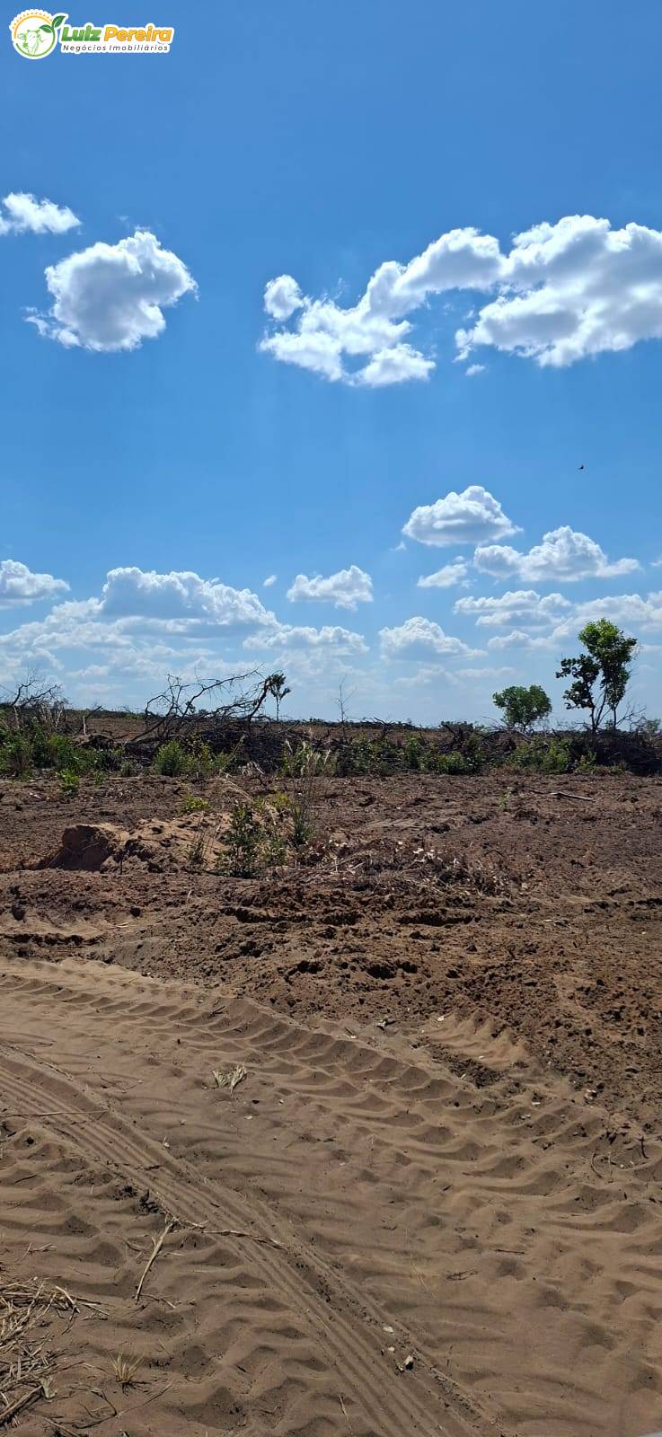 Terreno, 1108 m² - Foto 5