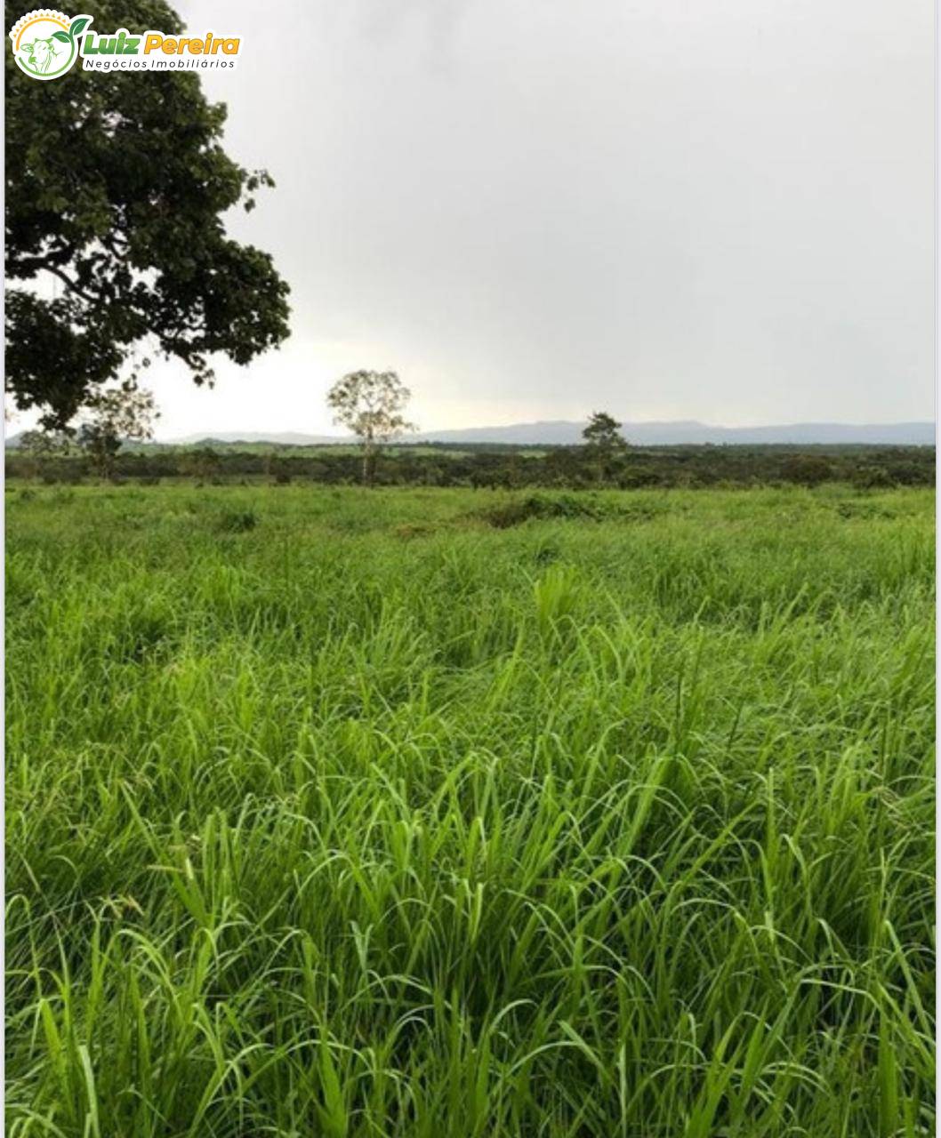 Terreno, 881 m² - Foto 2