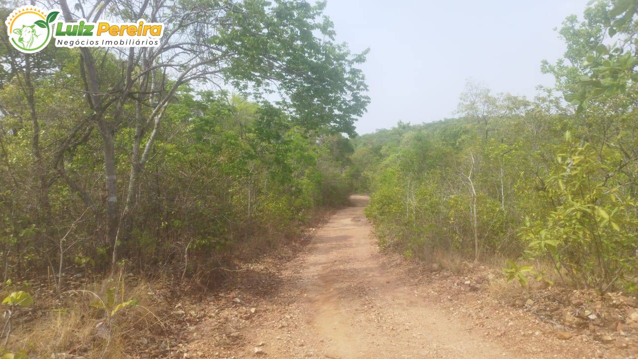 Terreno, 1645 m² - Foto 4