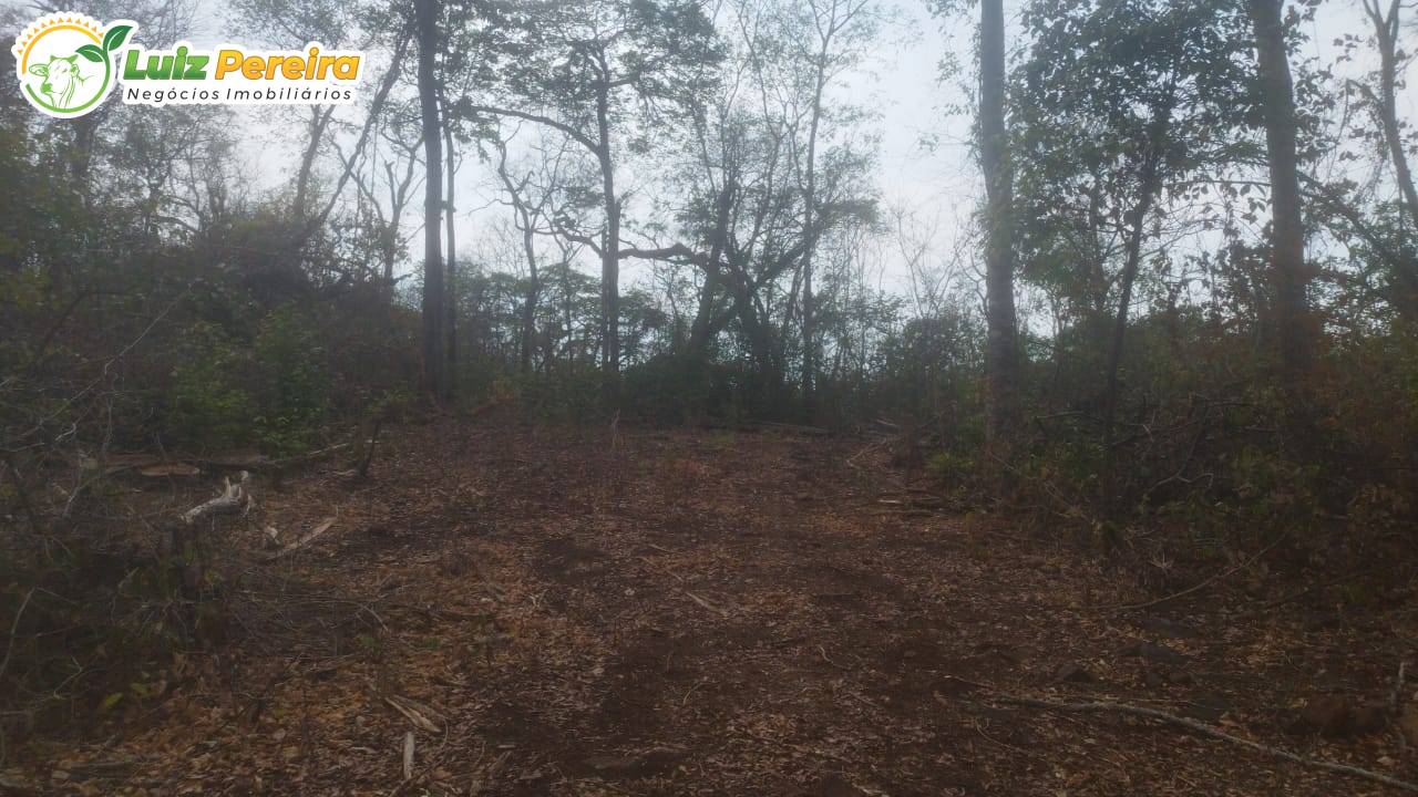 Terreno, 1645 m² - Foto 5