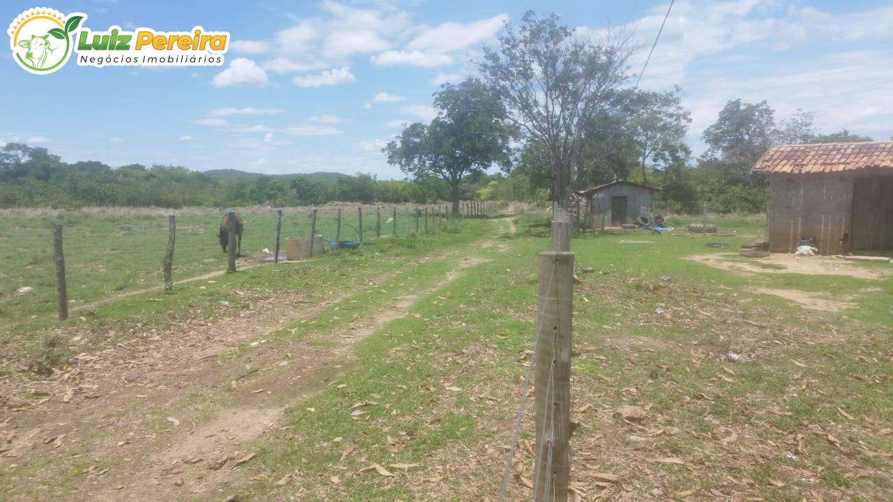 Terreno, 1645 m² - Foto 1