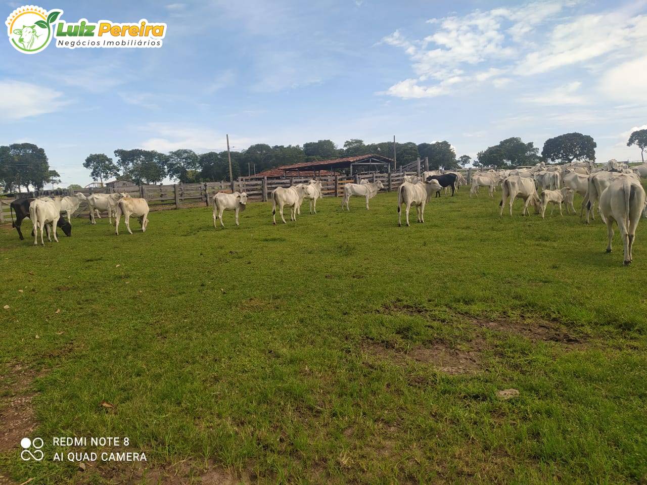 Terreno, 404 m² - Foto 4