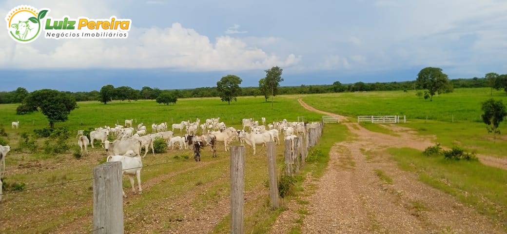 Terreno, 404 m² - Foto 1