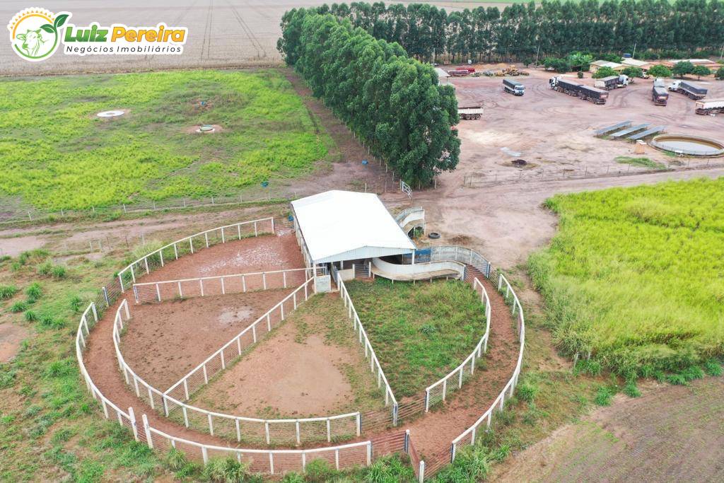 Terreno, 2600 m² - Foto 1