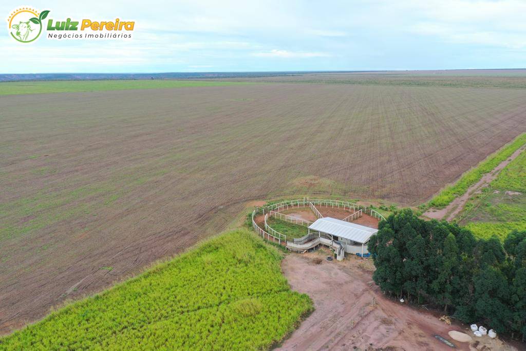 Terreno, 2600 m² - Foto 4