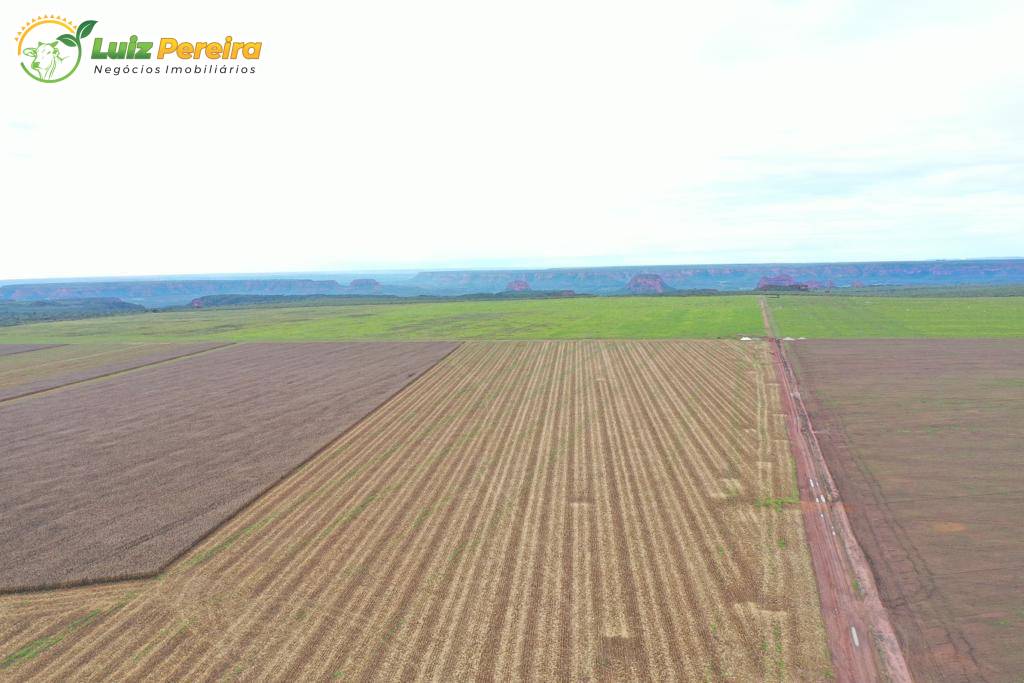 Terreno, 2600 m² - Foto 5