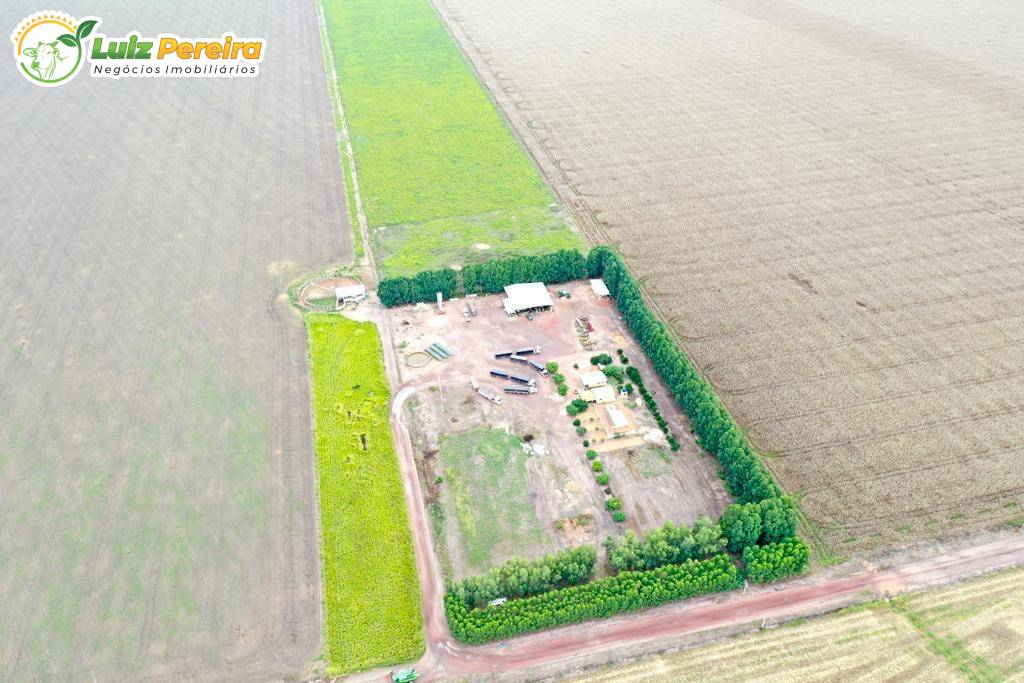 Terreno, 2600 m² - Foto 2