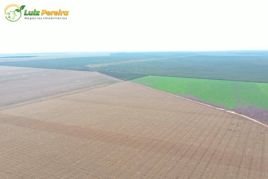 Terreno, 2600 m² - Foto 10