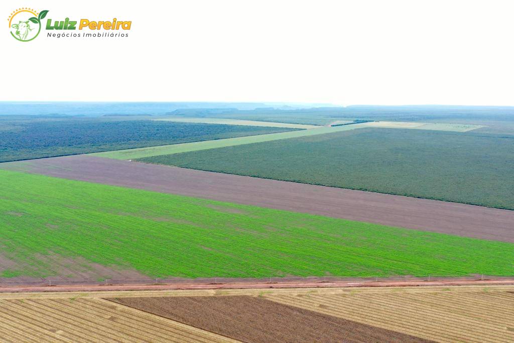 Terreno, 2600 m² - Foto 6