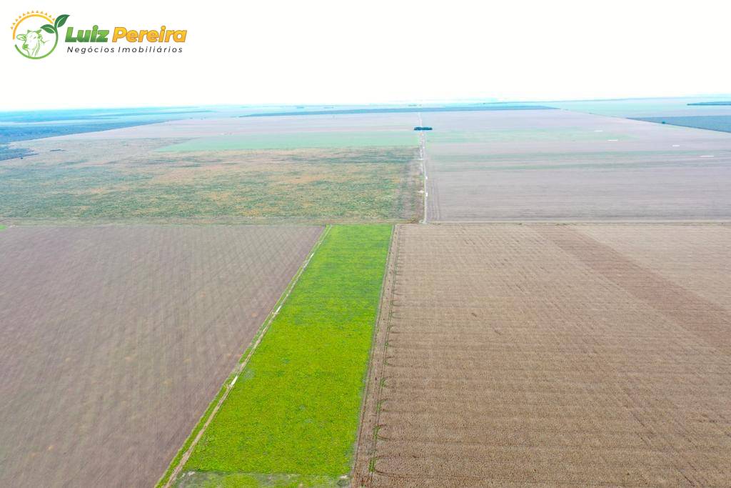 Terreno, 2600 m² - Foto 9