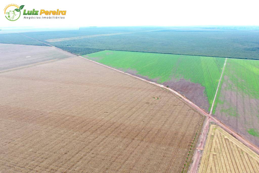 Terreno, 2600 m² - Foto 8