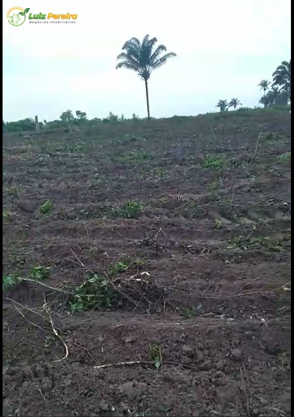 Terreno, 939 m² - Foto 7