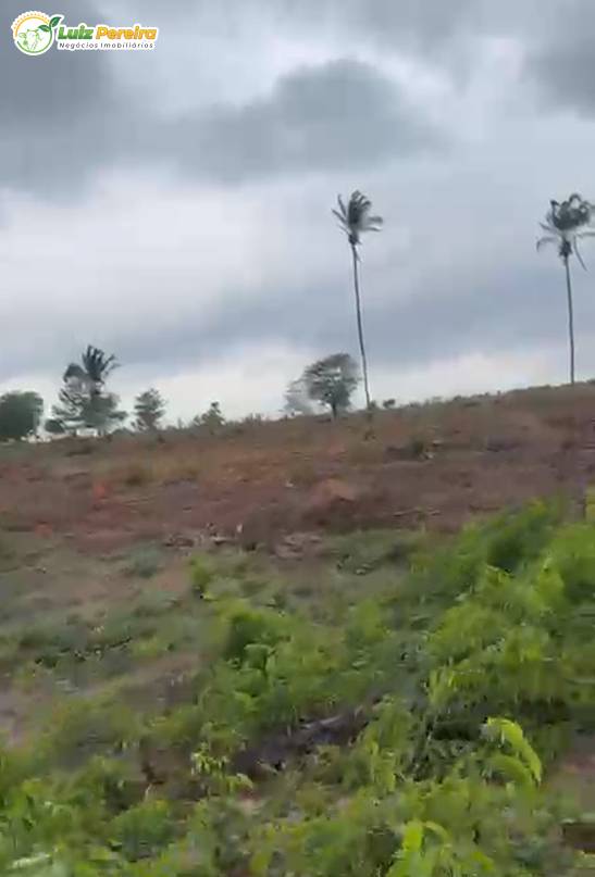 Terreno, 939 m² - Foto 5