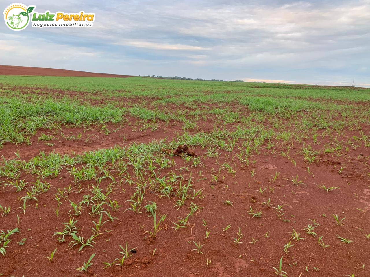 Terreno, 861 m² - Foto 7