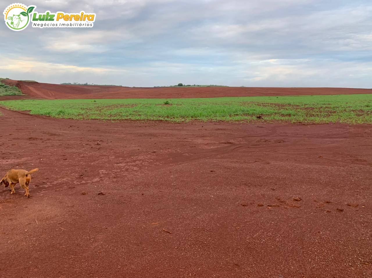 Terreno, 861 m² - Foto 10