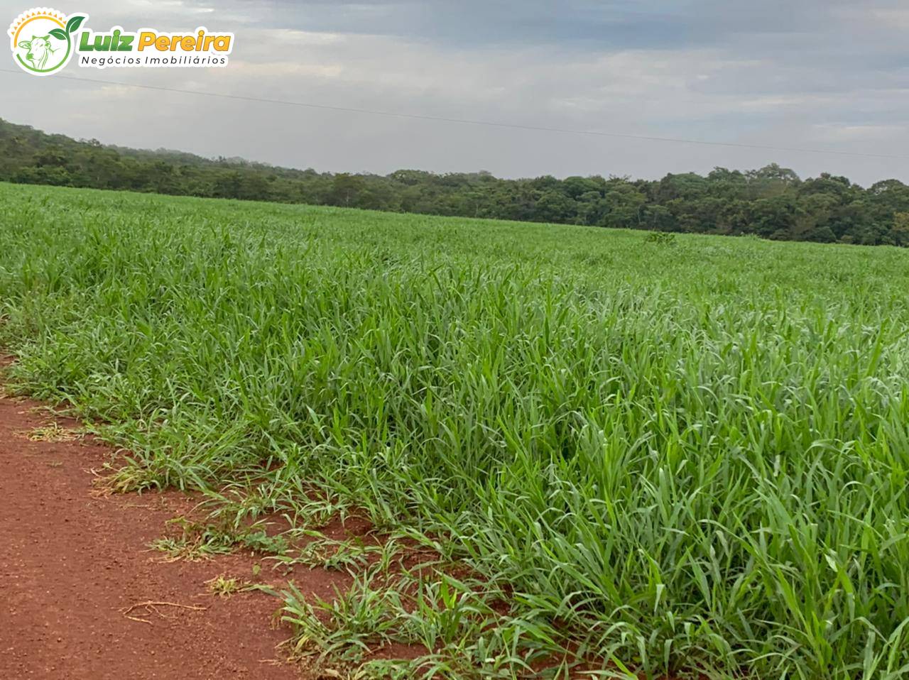 Terreno, 861 m² - Foto 14