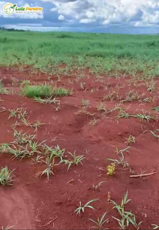 Terreno, 890 m² - Foto 5