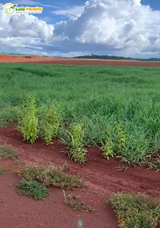 Terreno, 890 m² - Foto 4