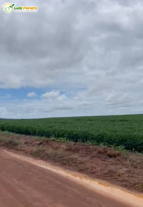 Terreno, 890 m² - Foto 3