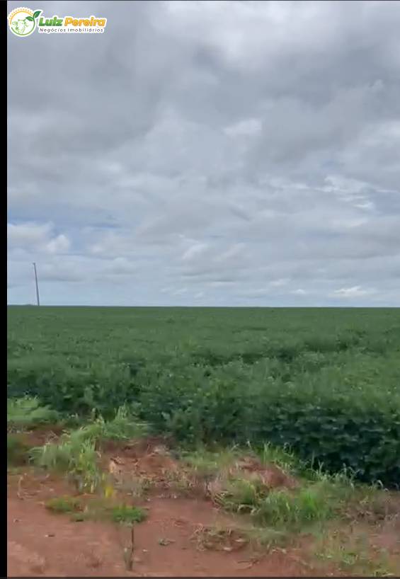 Terreno, 890 m² - Foto 1