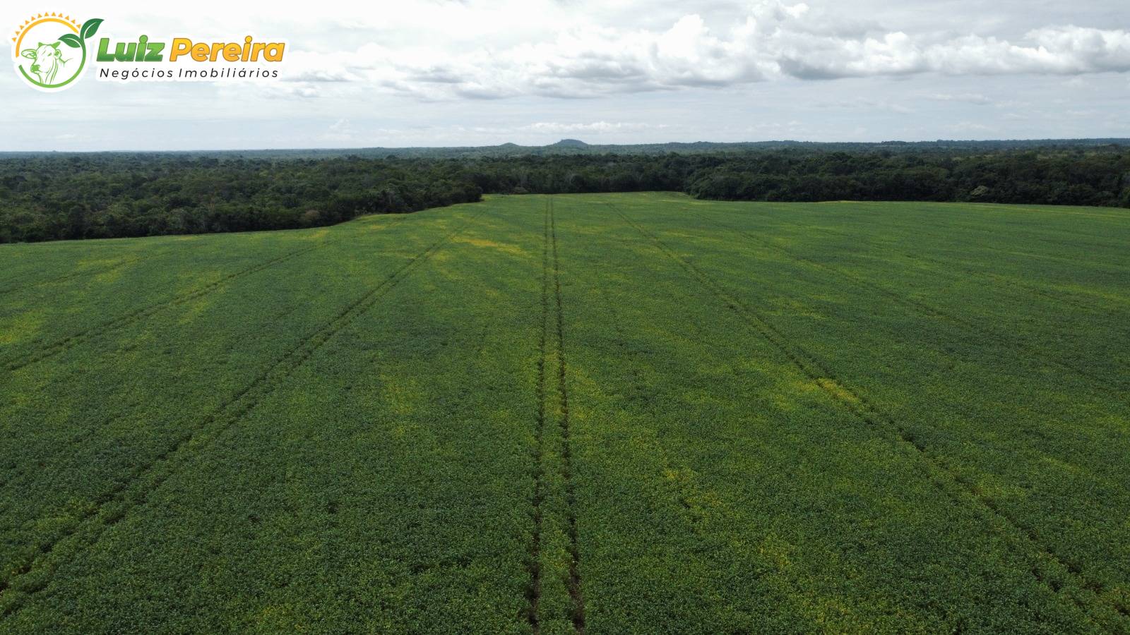 Terreno, 1132 m² - Foto 11