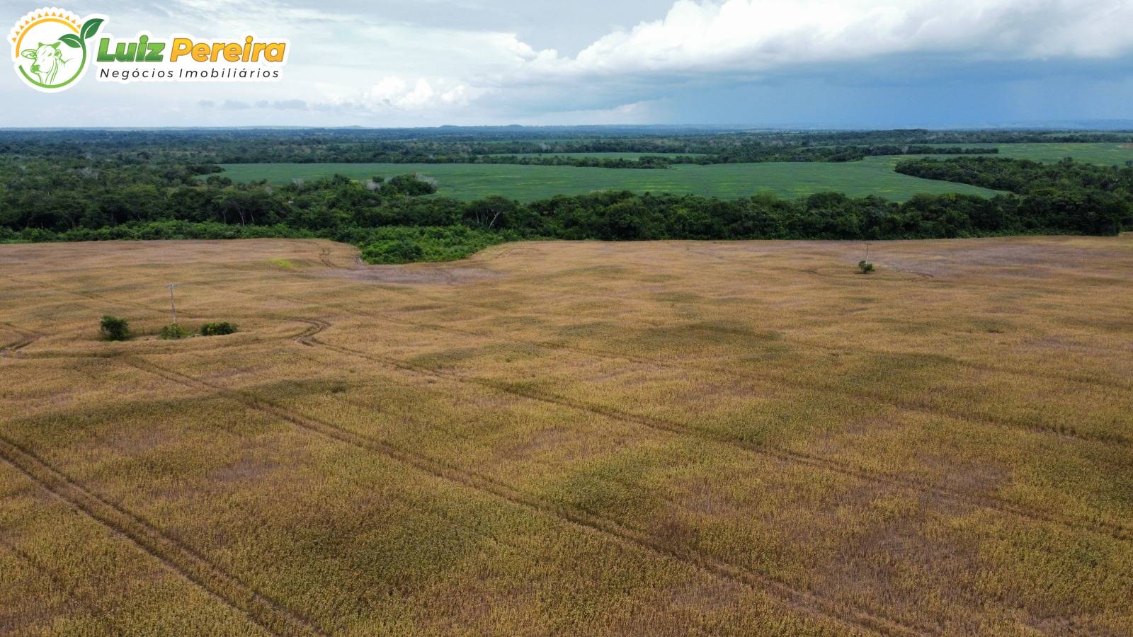 Terreno, 1132 m² - Foto 14