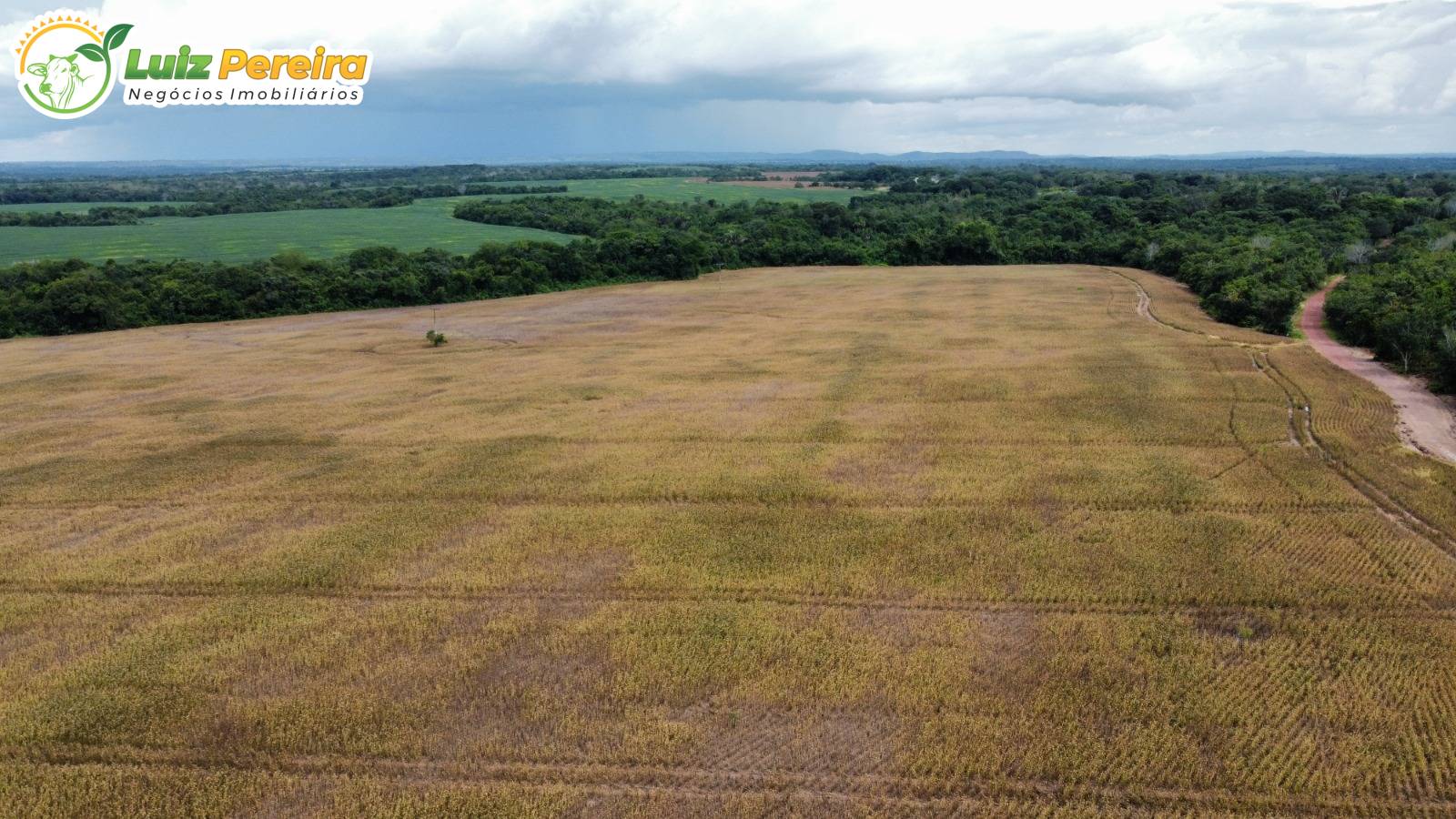 Terreno, 1132 m² - Foto 15