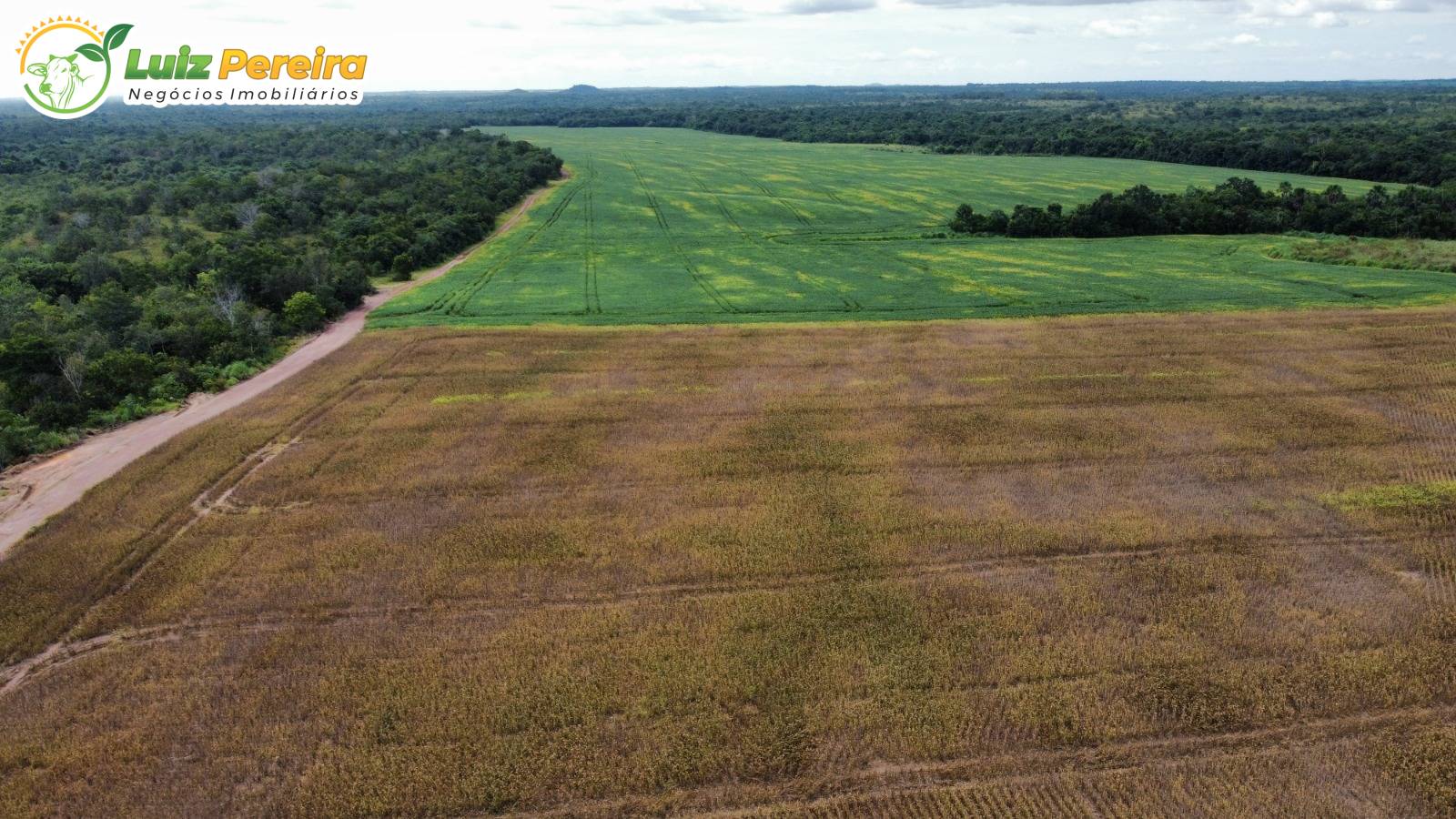 Terreno, 1132 m² - Foto 17