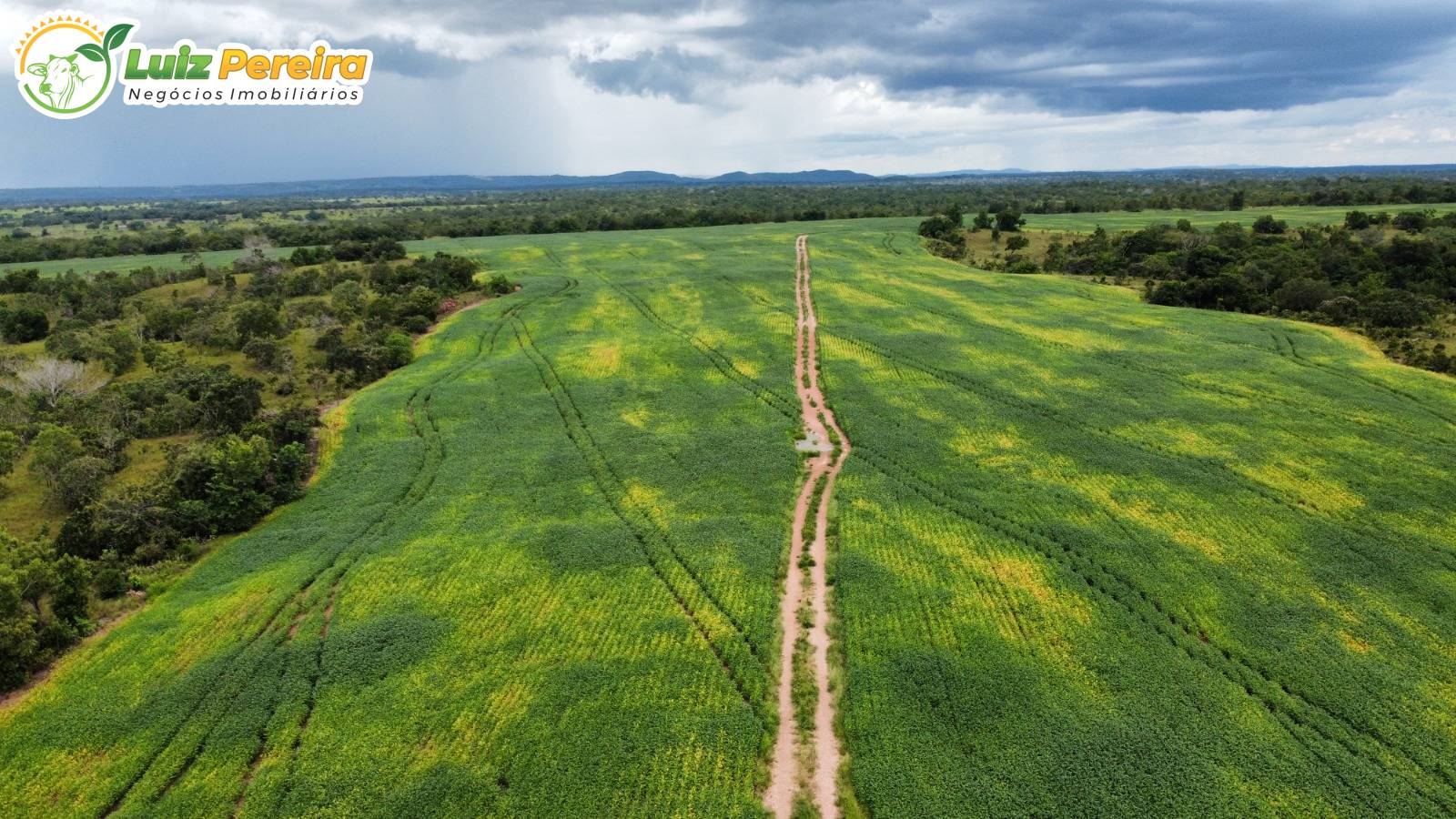 Terreno, 1132 m² - Foto 18