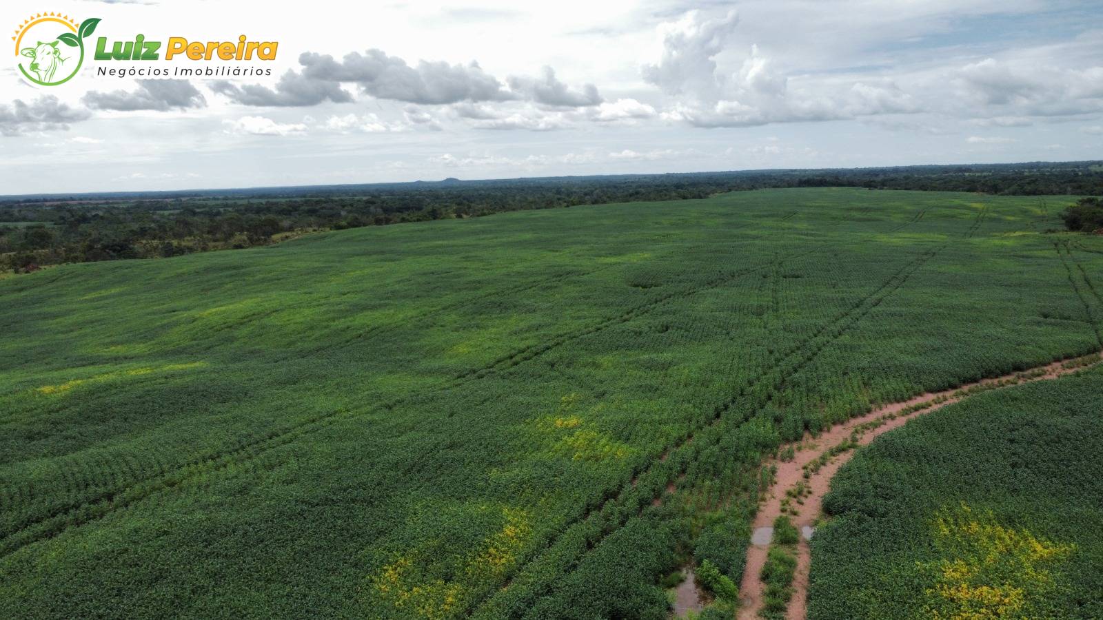 Terreno, 1132 m² - Foto 19