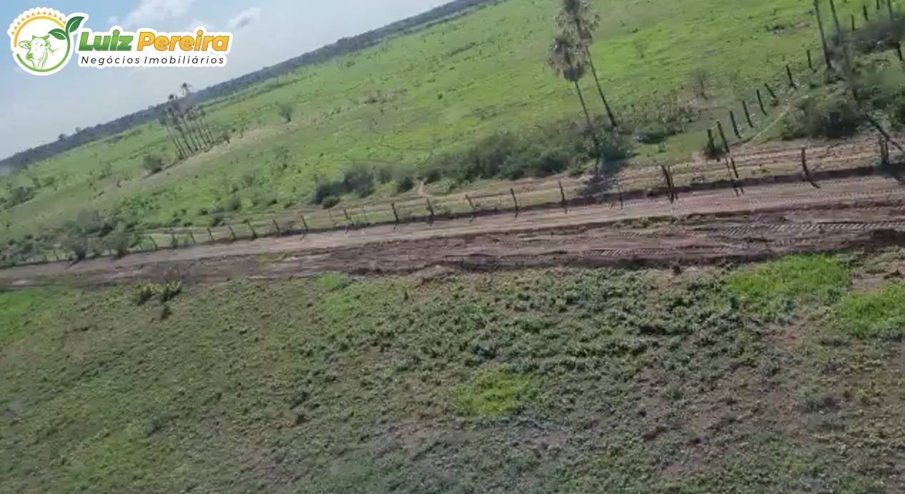 Terreno, 2 hectares - Foto 1