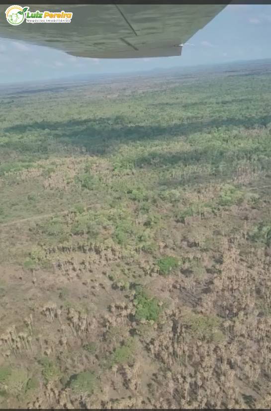 Terreno, 2 hectares - Foto 3