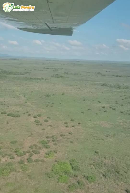 Terreno, 2 hectares - Foto 2