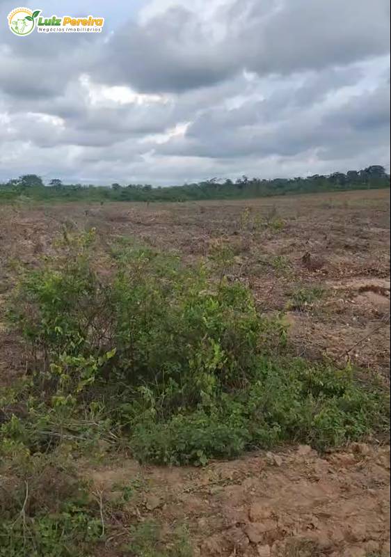 Terreno, 8107 m² - Foto 11