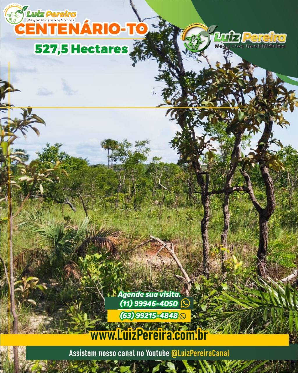 Terreno, 527 m² - Foto 5