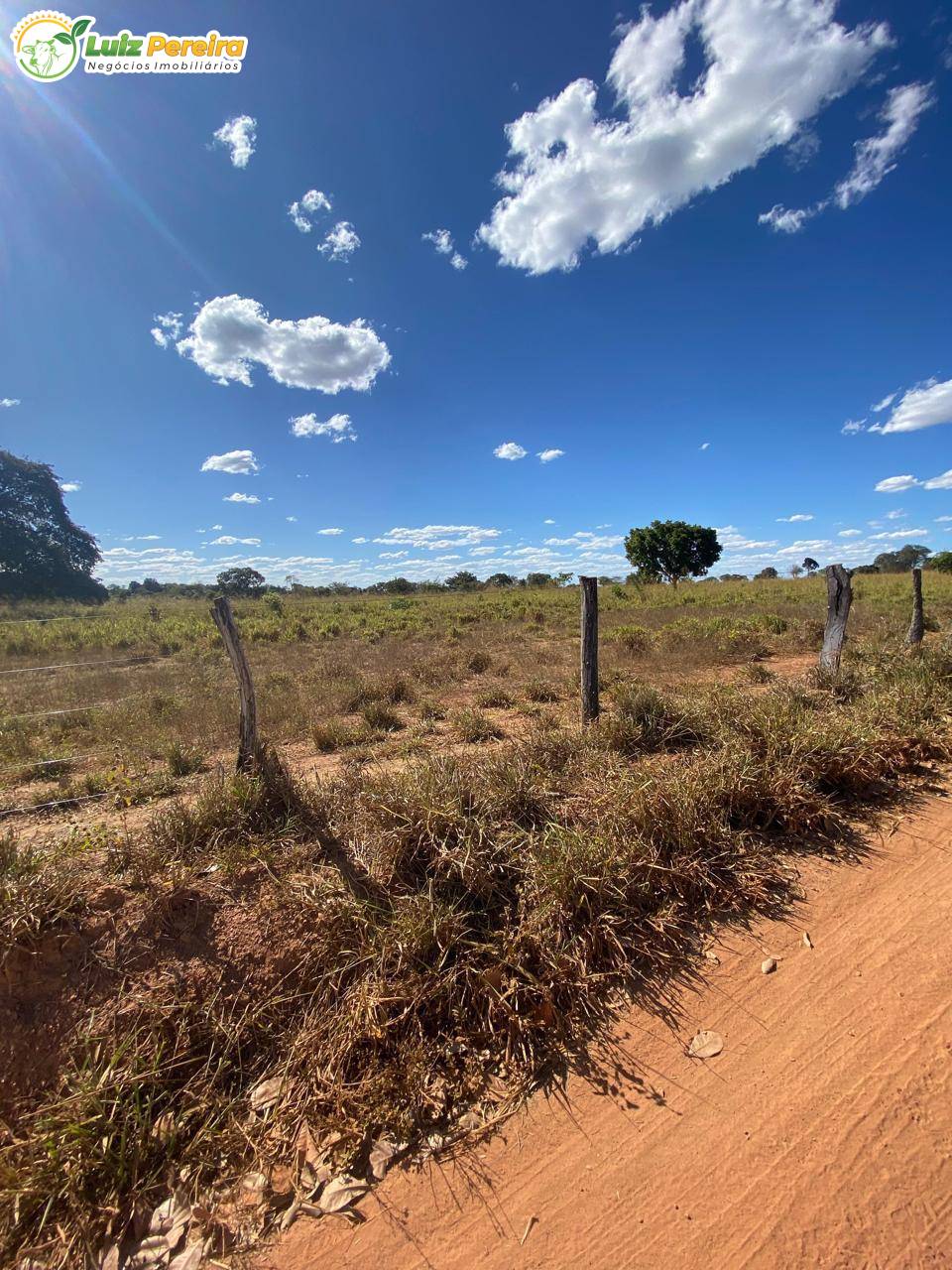 Terreno, 1050 m² - Foto 16