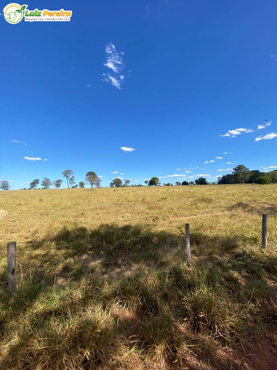 Terreno, 1050 m² - Foto 3