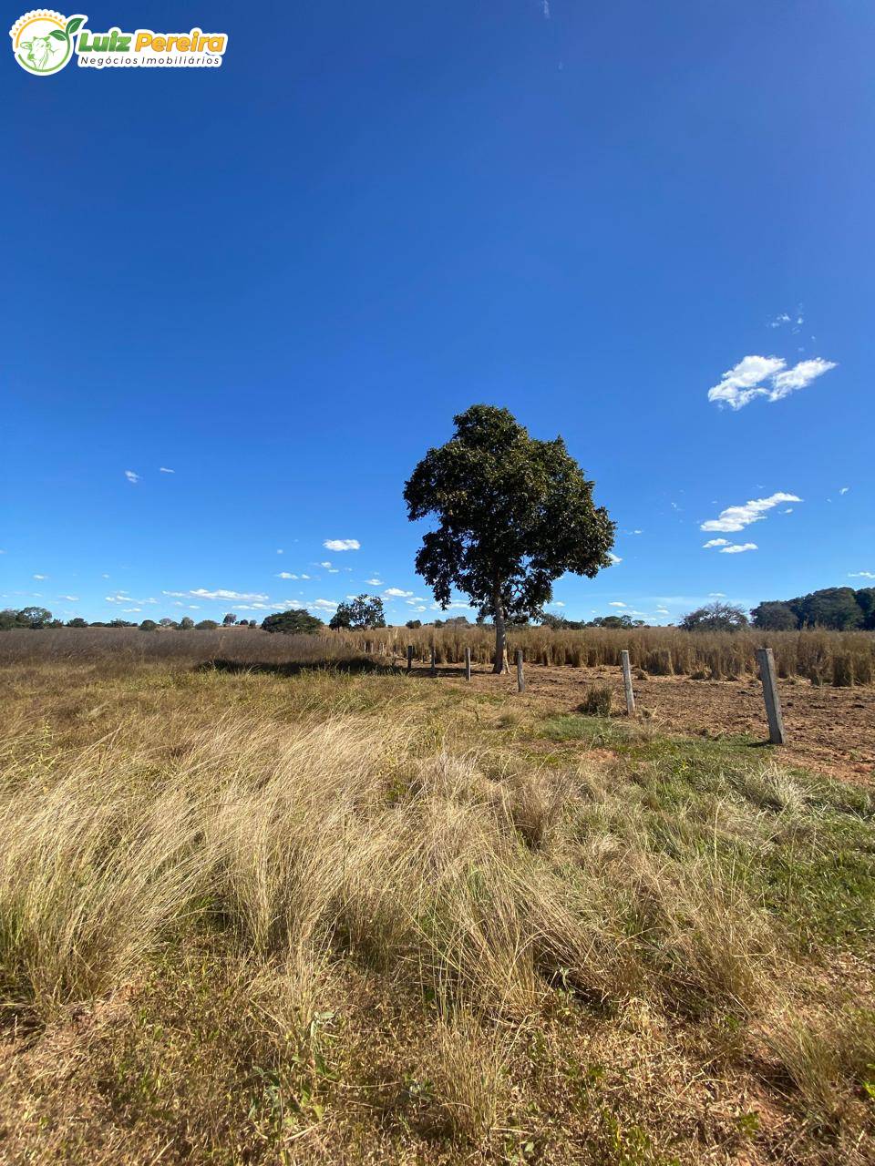 Terreno, 1050 m² - Foto 2