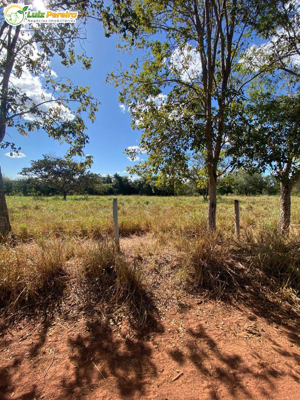 Terreno, 1050 m² - Foto 5