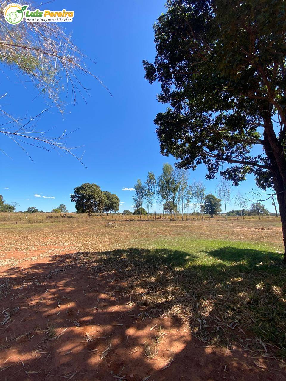 Terreno, 1050 m² - Foto 4