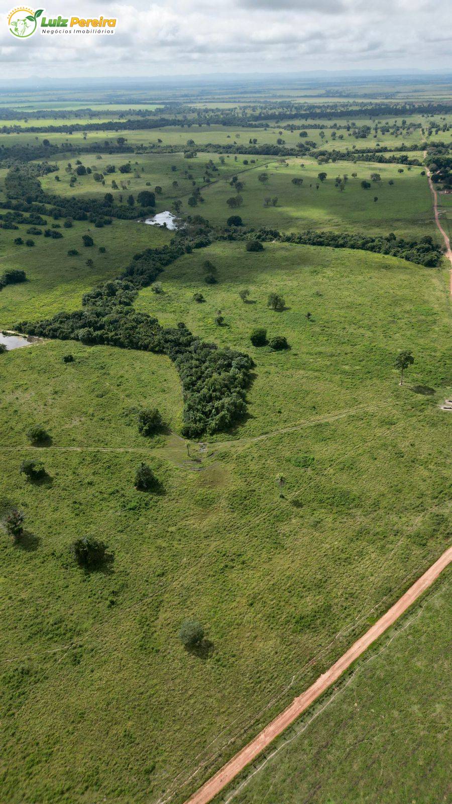 Terreno, 3330 m² - Foto 3