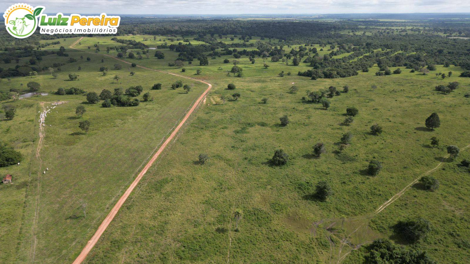 Terreno, 3330 m² - Foto 2