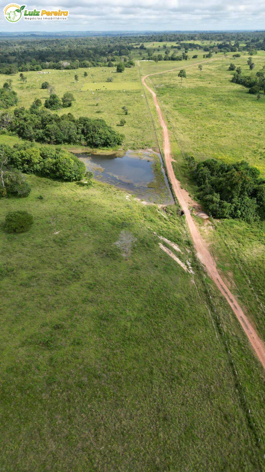 Terreno, 3330 m² - Foto 4