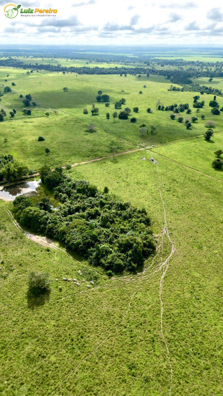 Terreno, 3330 m² - Foto 5