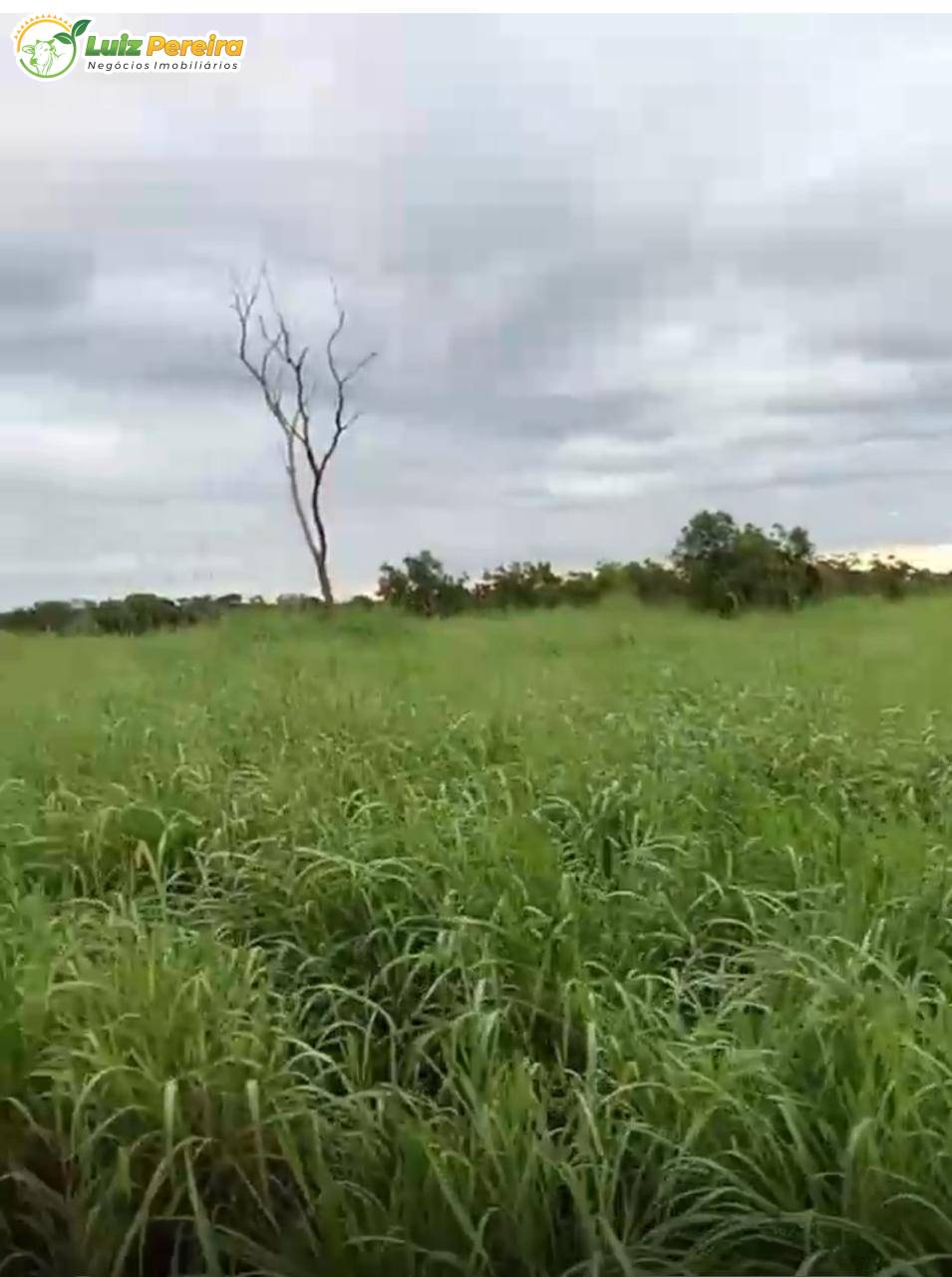 Terreno, 1980 m² - Foto 3