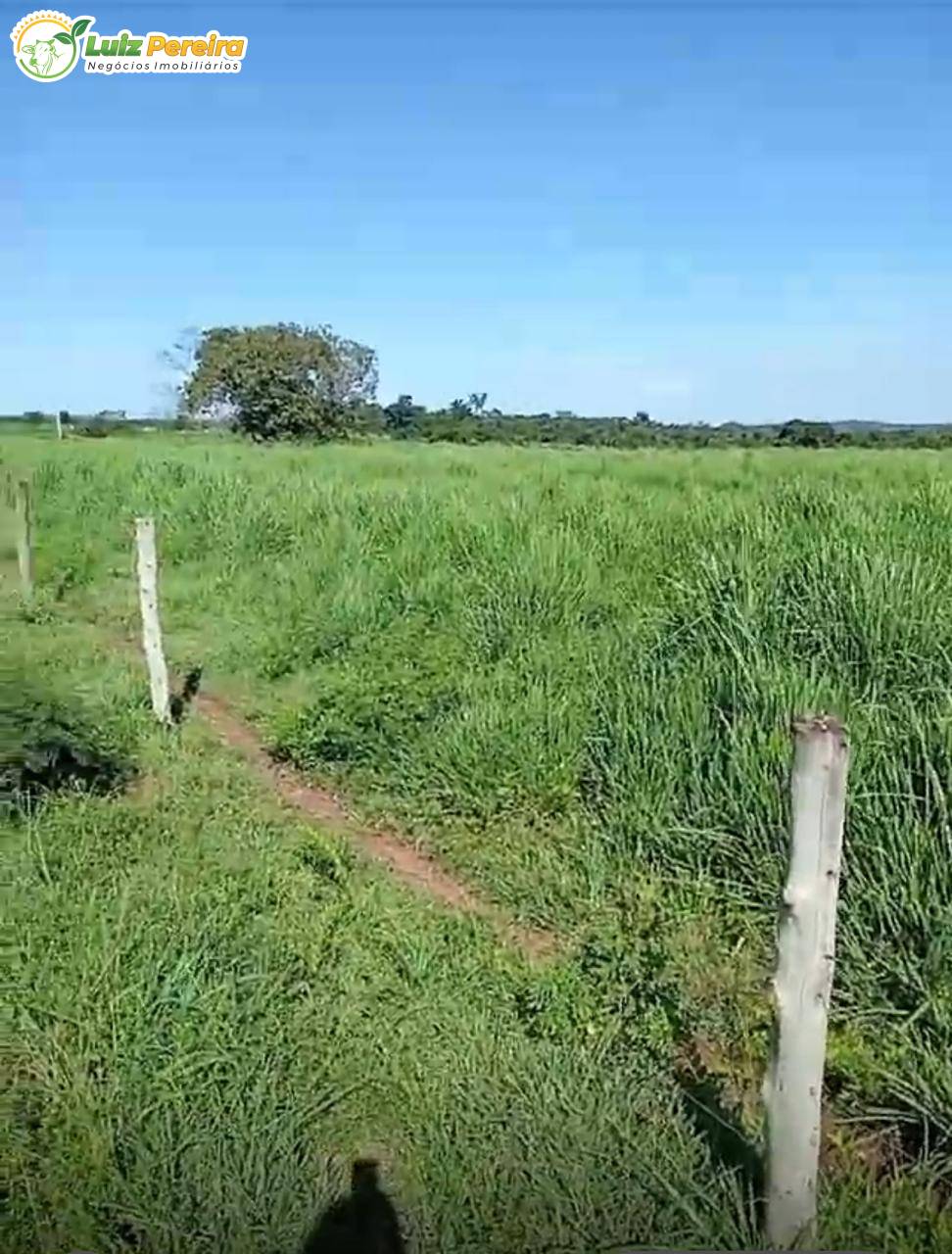 Terreno, 1980 m² - Foto 2