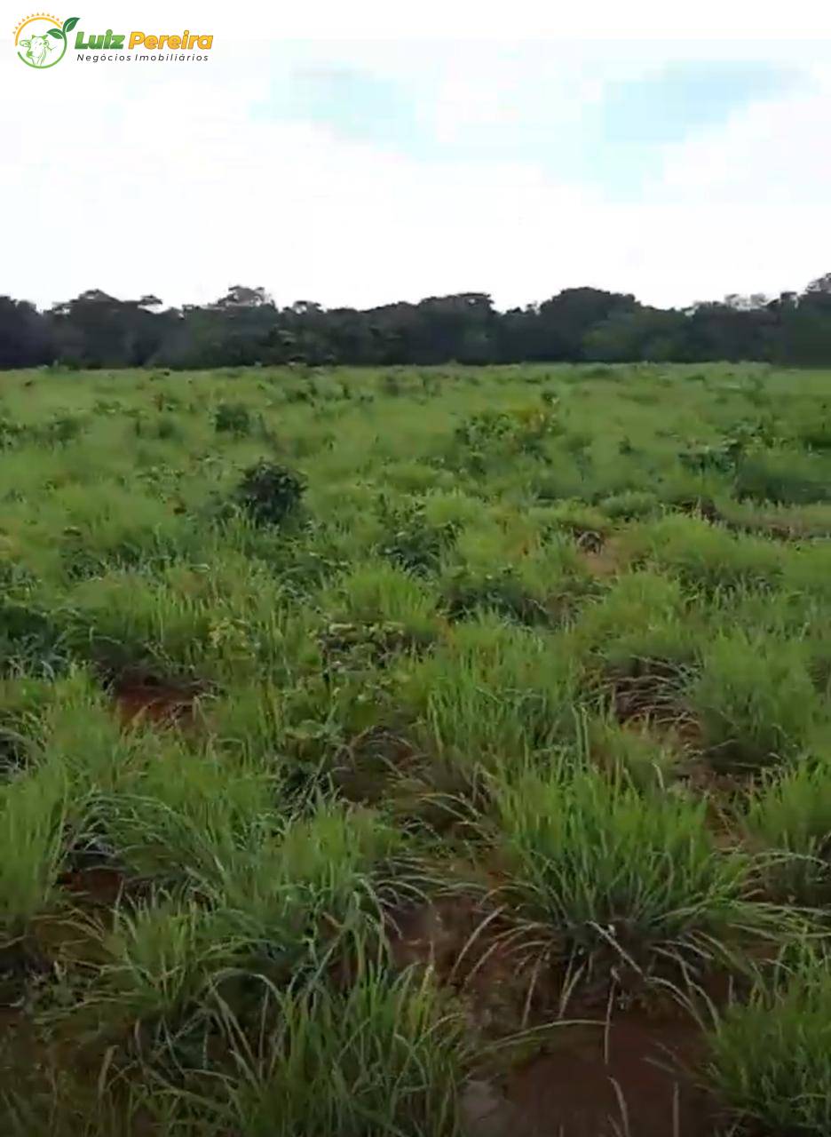 Terreno, 1980 m² - Foto 4