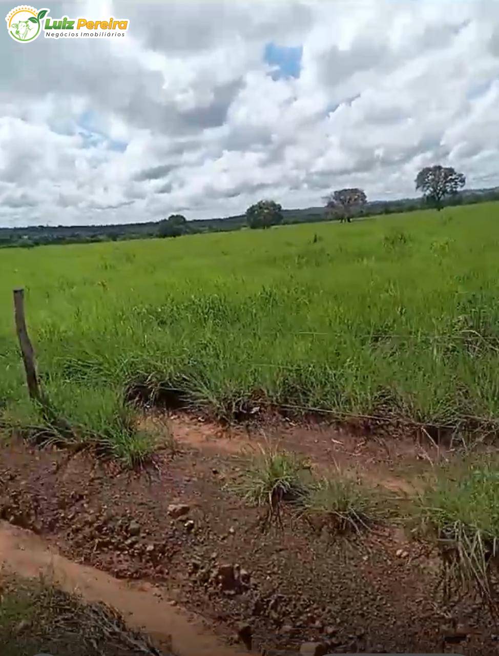 Terreno, 1980 m² - Foto 5