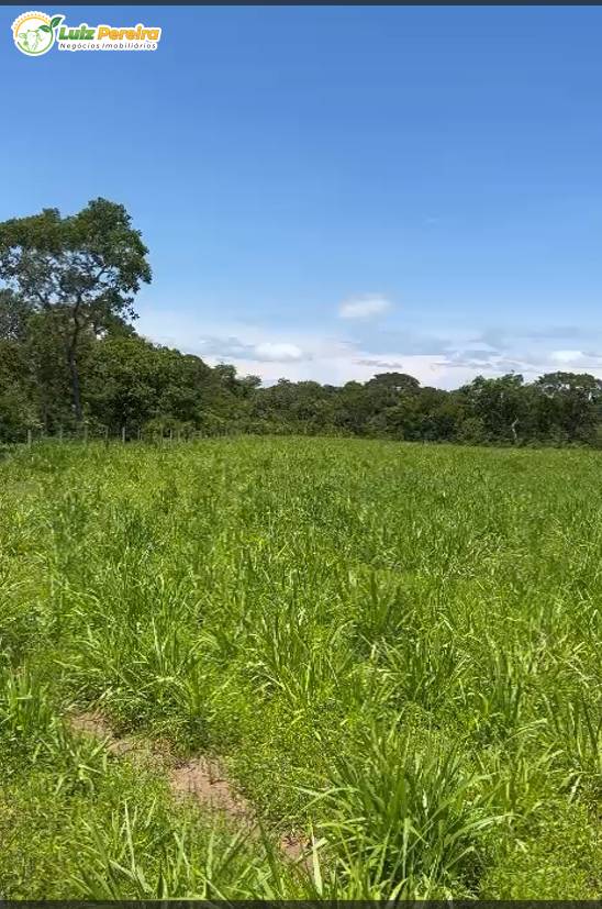 Terreno, 1980 m² - Foto 1